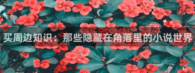 起点小说破解版无付费：买周边知识：那些隐藏在角落里的小说世界